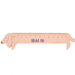 Souvenirs  - Ruler - 20 CZK