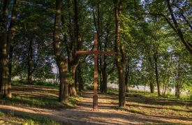 Grüner Wanderweg 2.0